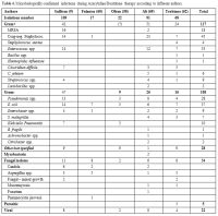 Table 4